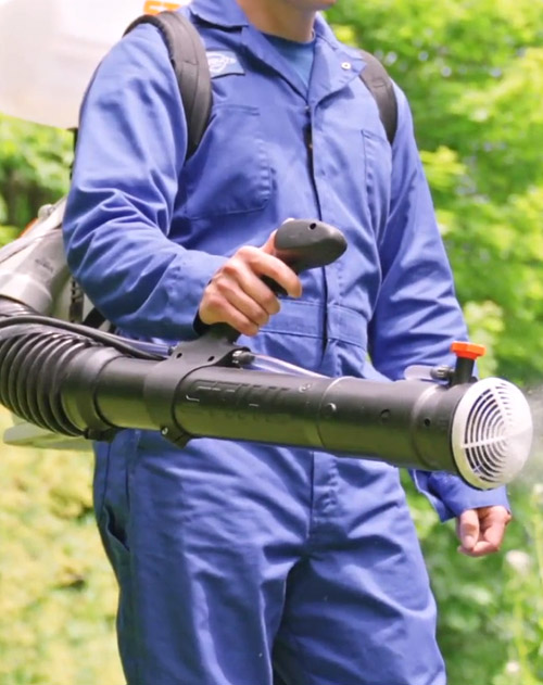 Mosquito Spray Services in Ottawa & Surrounding Areas
